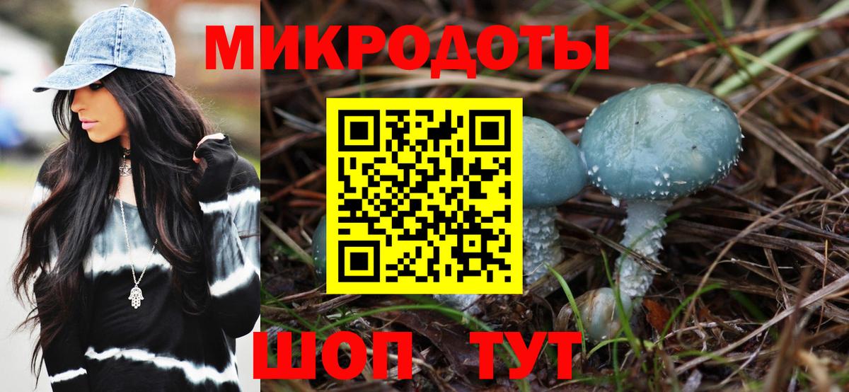 Галлюциногенные грибы GOLDEN TEACHER  Псилоцибиновые грибы Psilocybe  Нарткала  где продают наркотики  Вход с VPN 