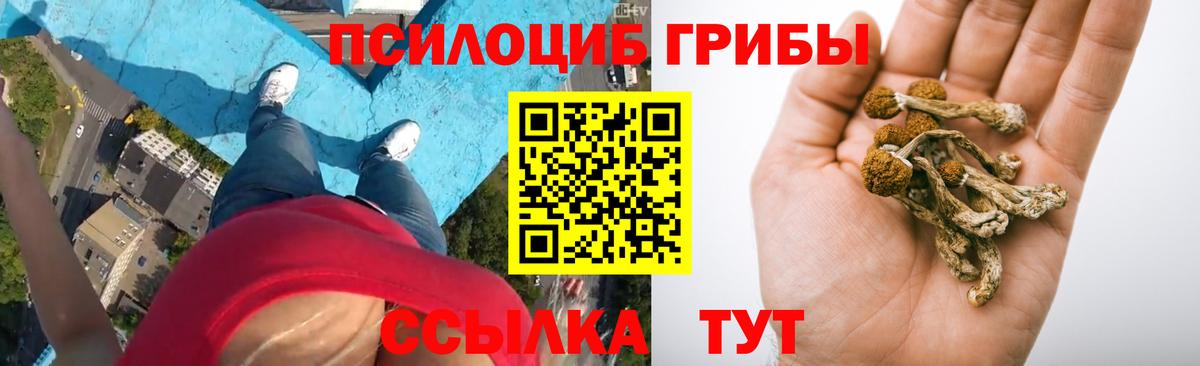 Галлюциногенные грибы мицелий Нарткала